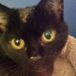 Meet your Posher, Natalie